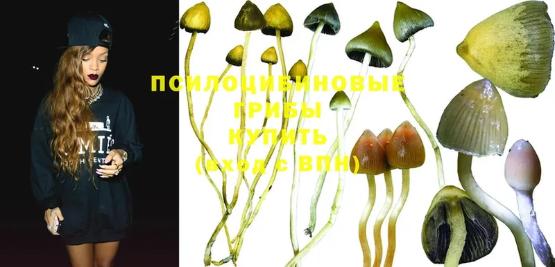 mega ссылка  Кулебаки  Галлюциногенные грибы MAGIC MUSHROOMS 